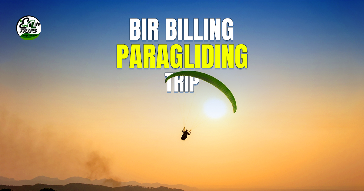 bir billing paragliding Cost